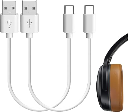 Skullcandy Indy Evo 