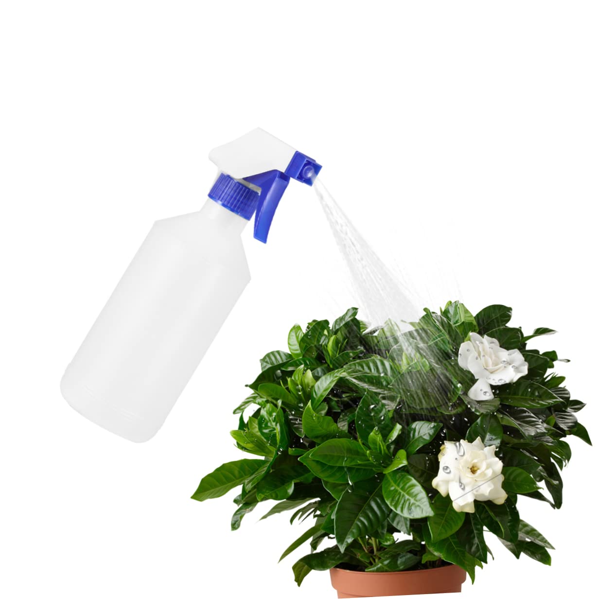 Haarspray-nebelflasche 12er-Pack 500 Ml Wassersprüher Einfach Zu Verwenden Auslaufsicher Zum Reinigen Und Gießen Von Pflanzen