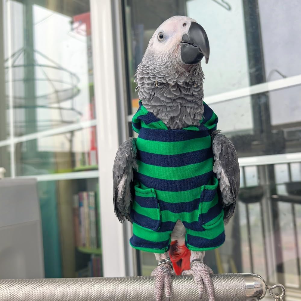 Parrot Supplies, Lightweight Flight Suit for Birds, Parrot Restraint Supplies, Comfortable and Warm, Suitable for Green cheeked Parakeets, Sun con, Monk Parakeets (2XL)