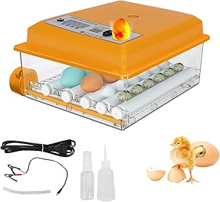 Brutautomat Vollautomatisch Inkubator Hühner Brutkasten Hühner mit Automatischem Rotationssystem und Temperaturkontrolle,Egg Incubator Brutmaschine für 12-16 Eier (Gelb 16)