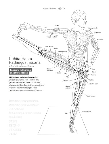 Anatomia Dello Yoga Da Colorare. Una Guida Visiva Alla Forma, Funzione E Movimento - 3