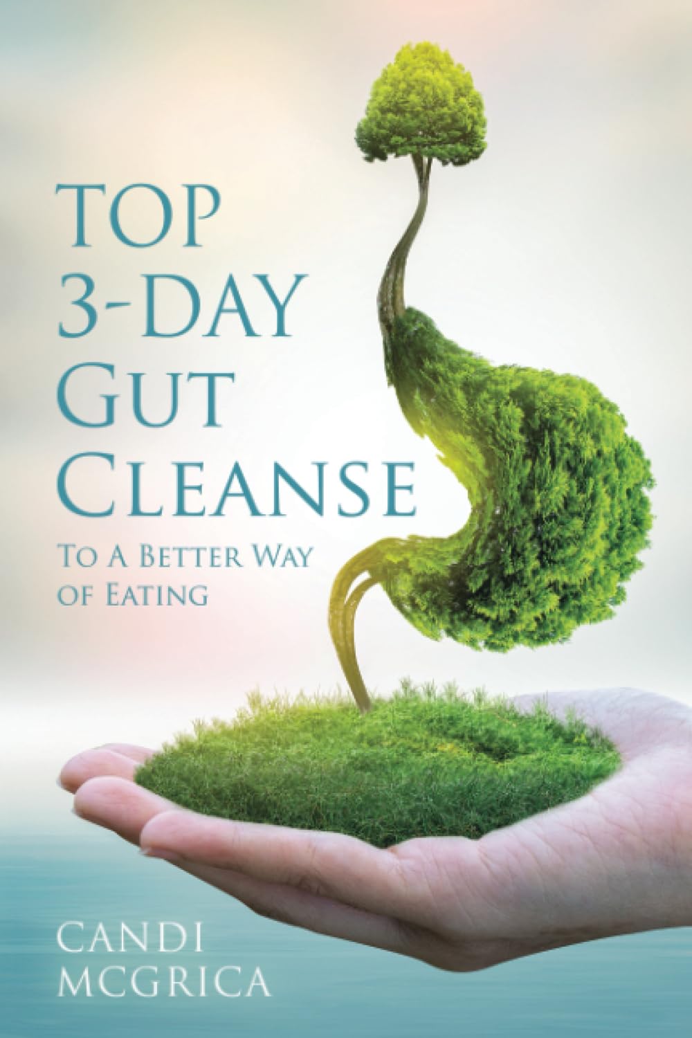 Top 3- Day Gut Cleanse: To a Better Way of Eating
