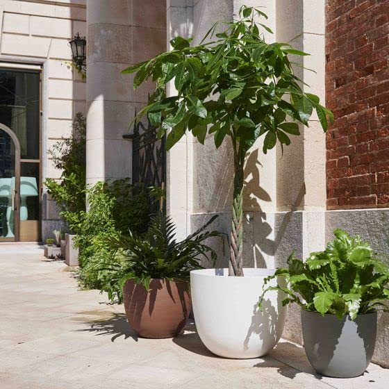 Decorspace Vaso Ecologico ''Re-Pot Over'' con riserva d'acqua in plastica per fiori e piante (38 cm, Verde)
