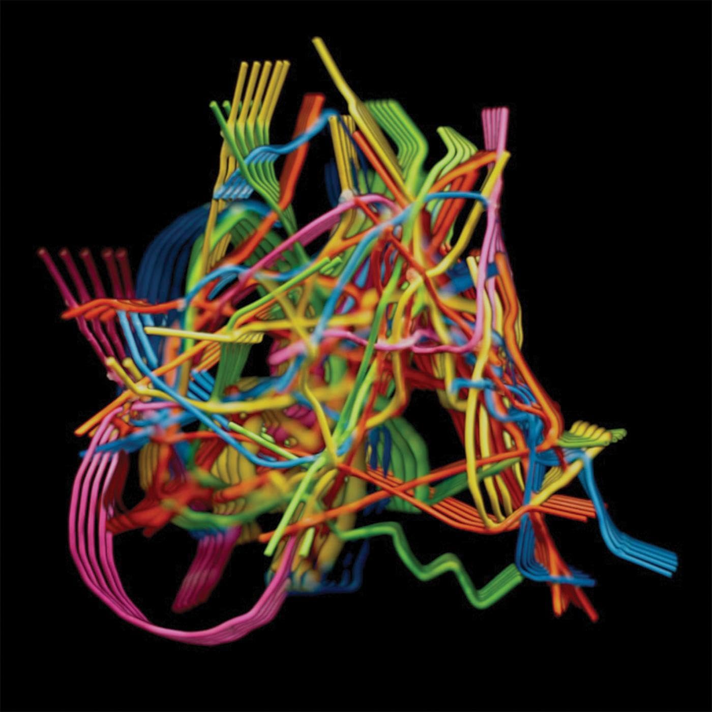Dustin Wong Perpetual Morphosis CD New 634457146754