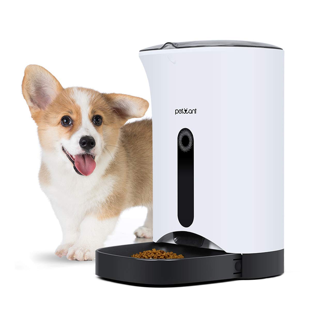PETCUTE Distributore Automatica per Cani distributore di Cibo per Gatto mangiatoia Automatica per Cani Programmazione Registra Voce Timer Digitale 4.3L