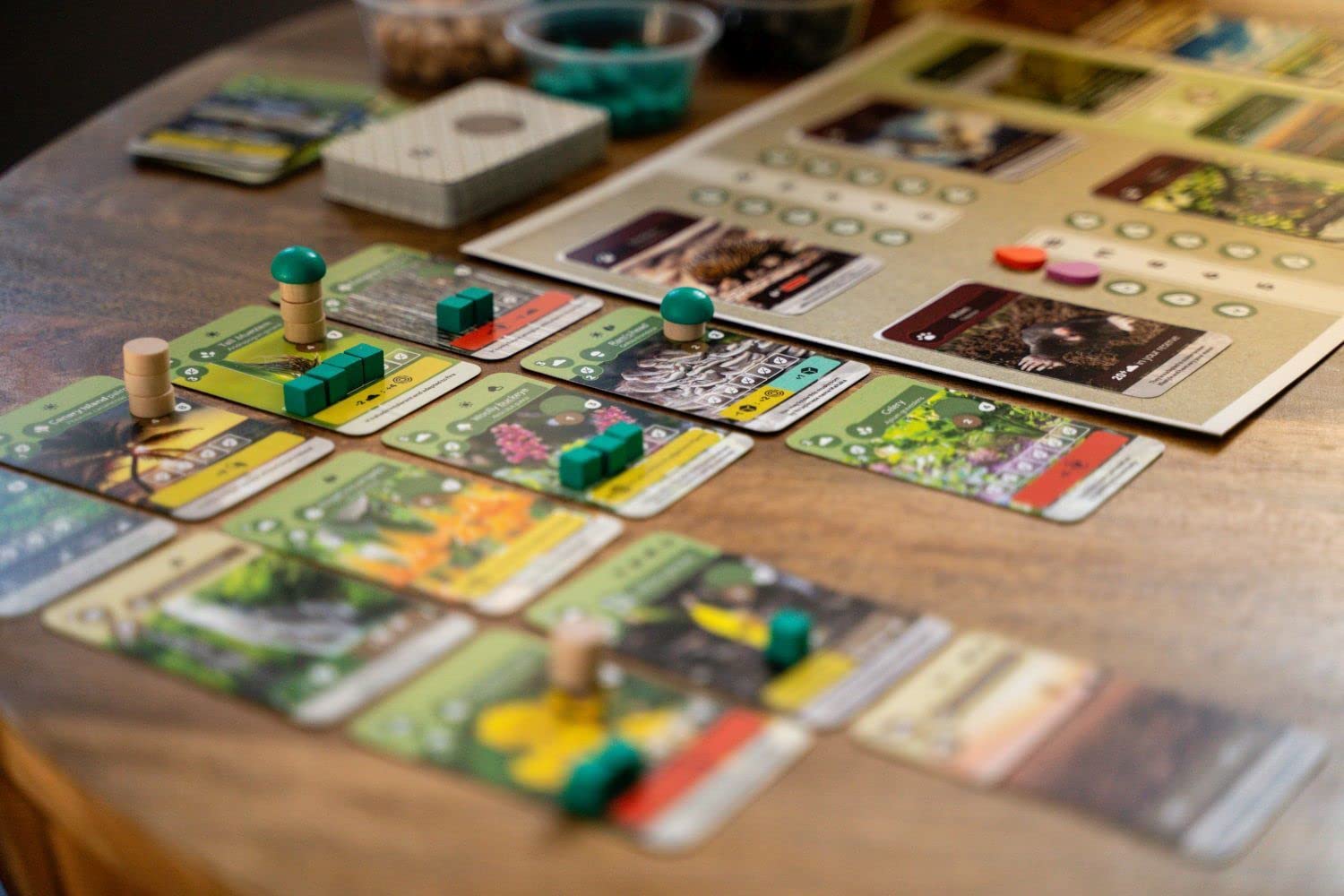 Skellig Games SKE48016 Earth
