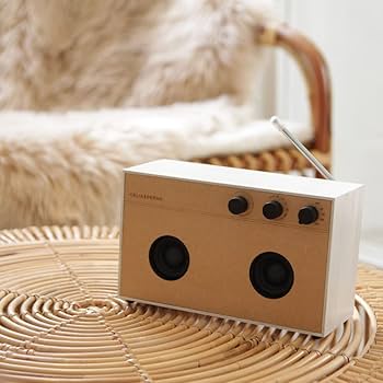 【未使用】CELIA＆PERAHウッディ　DIYスピーカーBluetooth対応 Amazon.co.jp: R4（アール4） DIYオーディオシステム DIY Audio