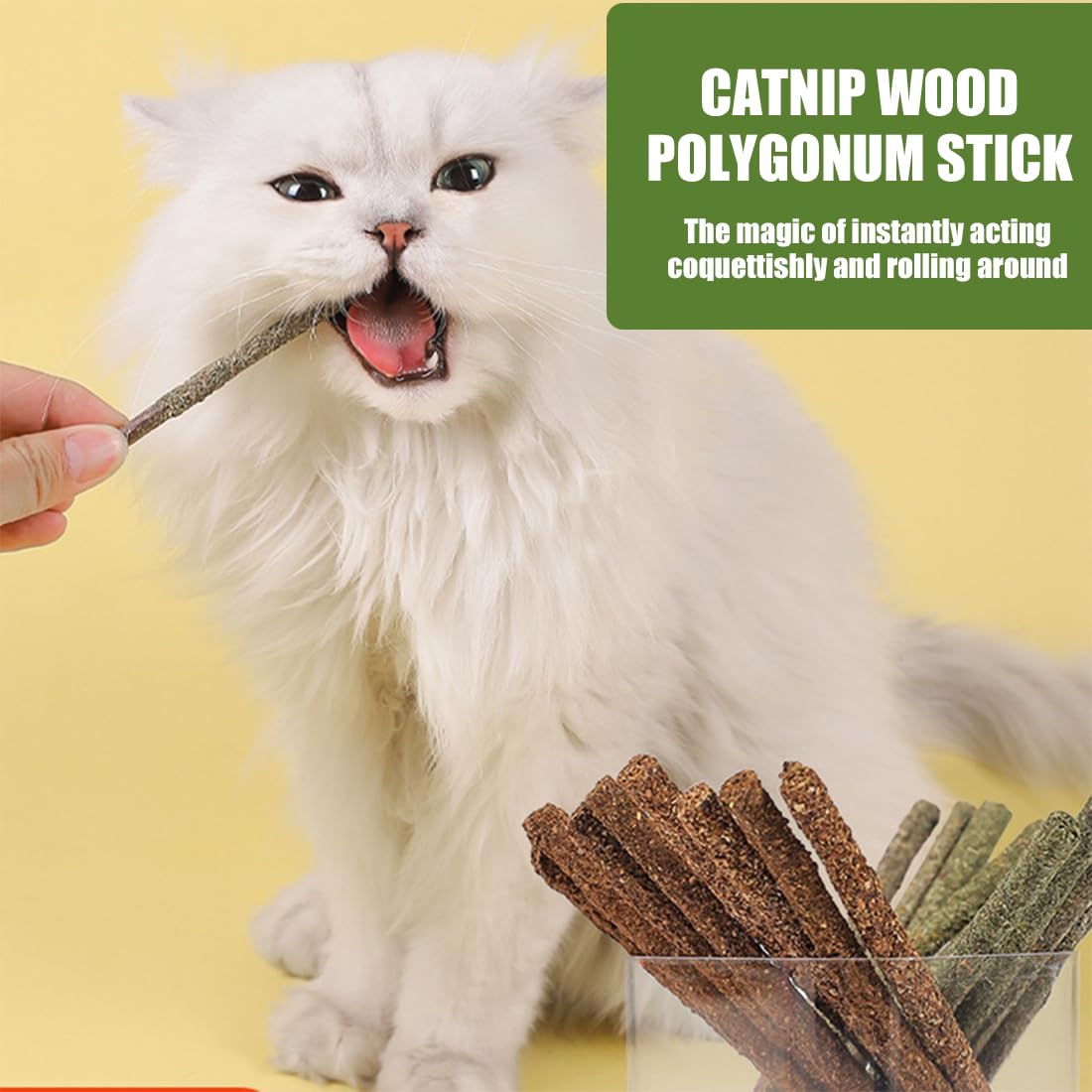 12 Pezzi Bastoncini di Erba Gatta Matatabi per Pulizia Dentale e Alito Fresco, Giocattolo Naturale Sicuro per Gatti