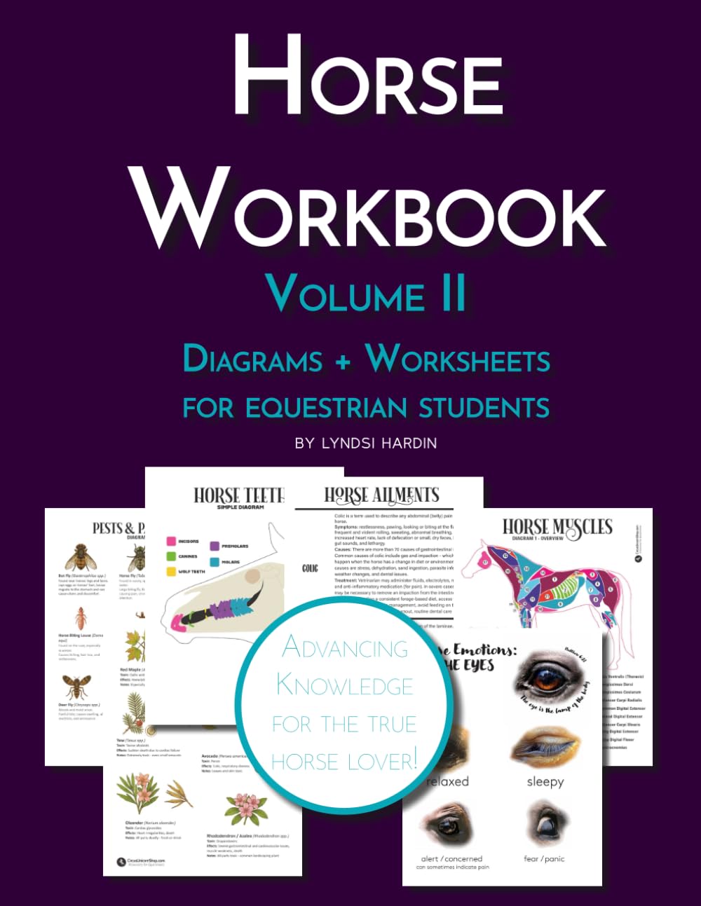 The Riding Student's Horse Workbook Volume II: Advancing Equestrian Knowledge for the True Horse Lover (Equestrian Workbooks)
