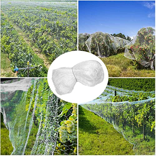 Bird protection net, 3 x 10 m aviary net, pigeon net, pond net, bird net, chicken net, poultry net, square mesh size 2.5 cm - Image 2