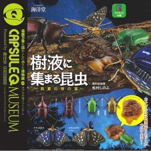 Amazon | カプセルQミュージアム 樹液に集まる昆虫 真夏の夜の宴