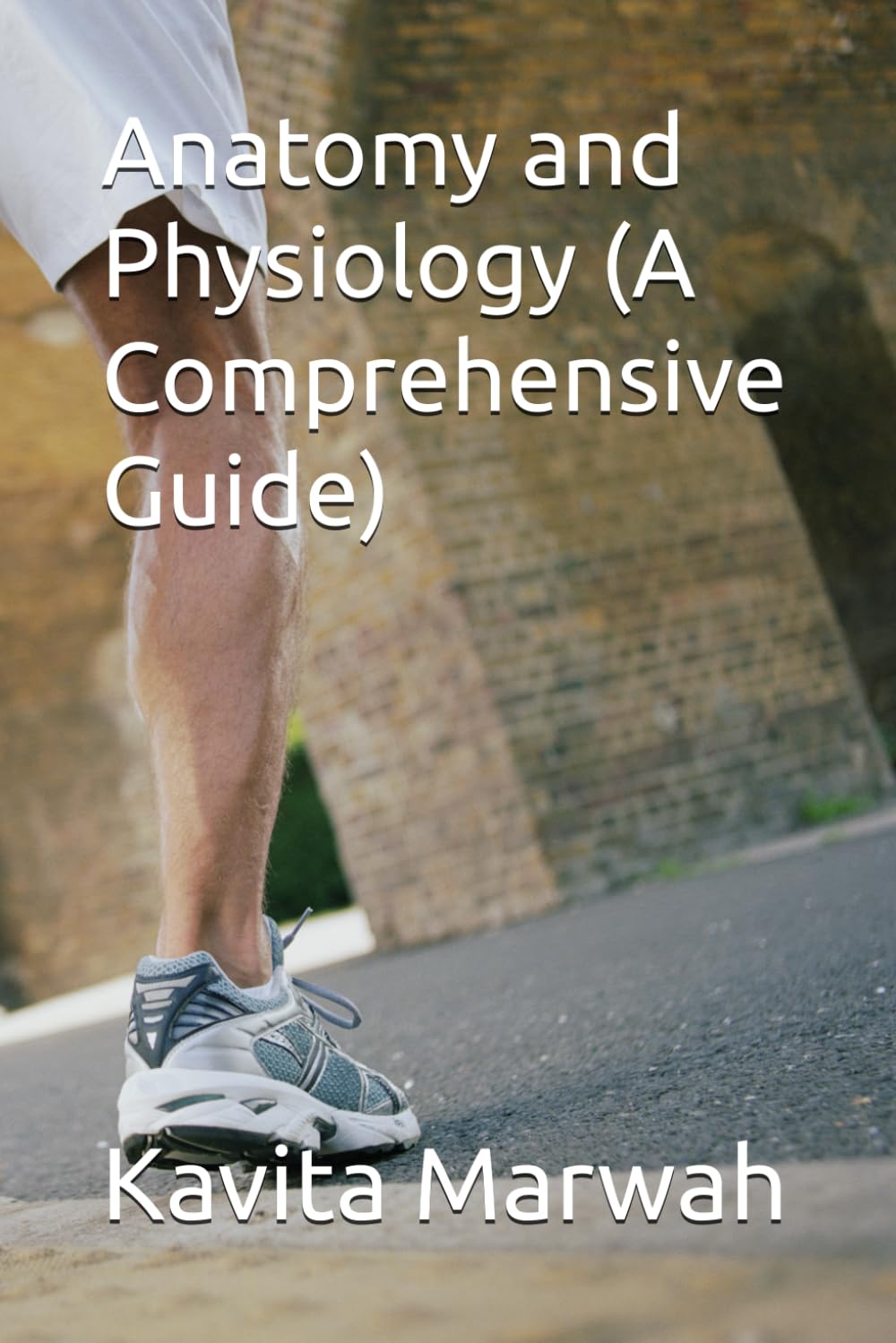 Anatomy and Physiology (A Comprehensive Guide)
