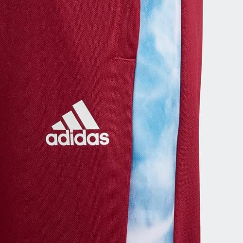 Adidas Boys' Tiro Pants, Legacy Burgundy, Medium #TOP2