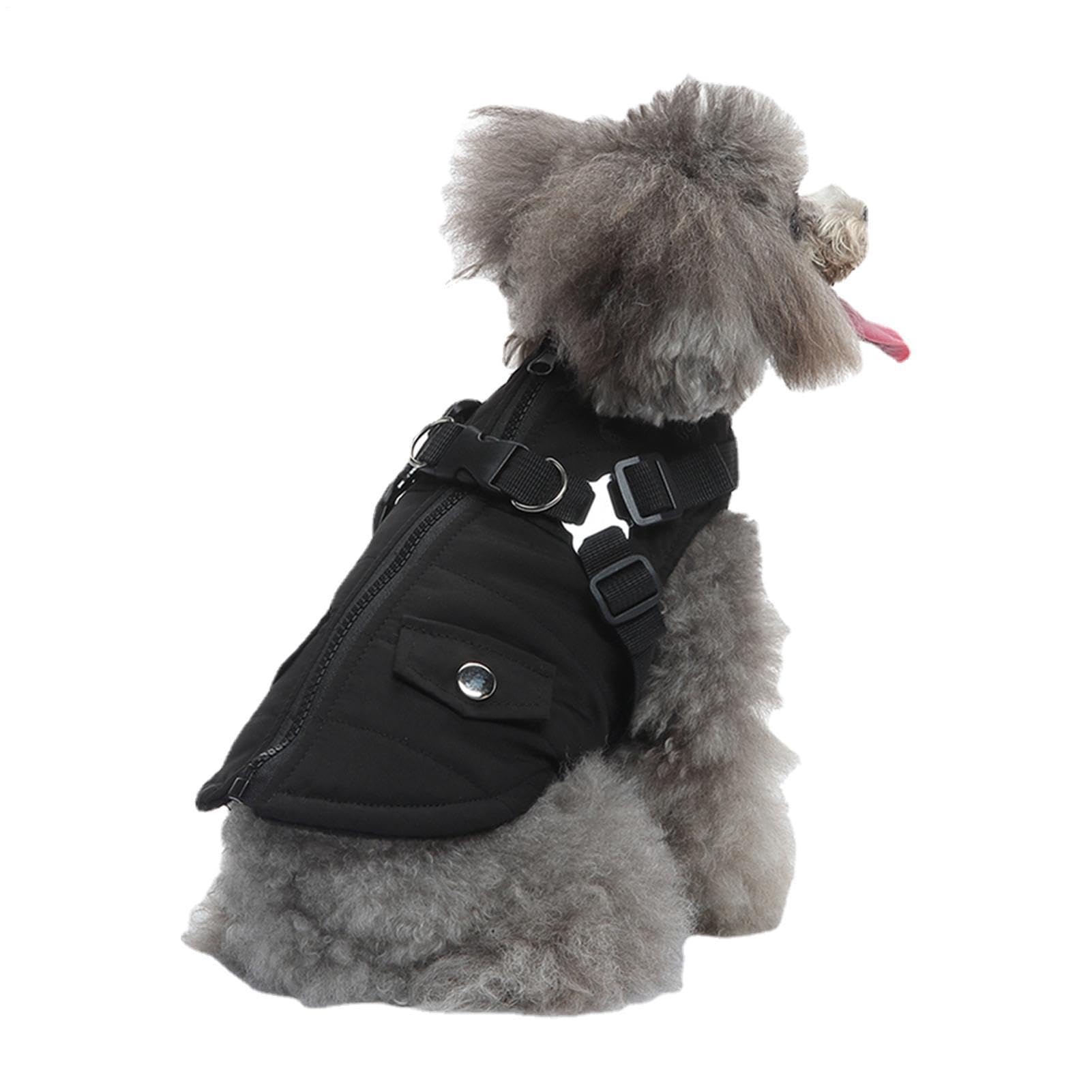 Manteau d'hiver pour temps froid veste réversible pour petit chien