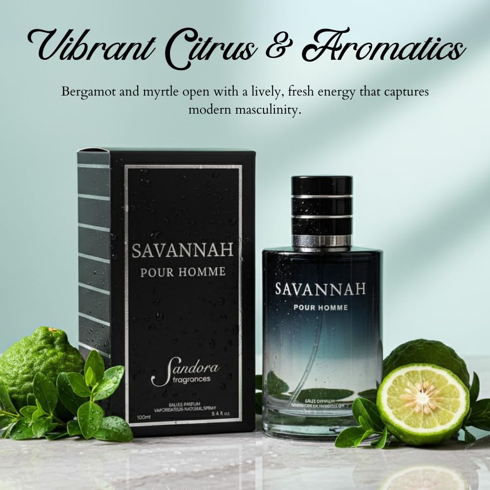 Sandora Fragrances Men's Cologne – INSPIRED by A WORLD RENOWNED MEN'S PERFUME – Calabrian Bergamot, Pepper, Lavender, Cedar – Fresh, Spicy, Woody, Aromatic – Long-Lasting Eau de Parfum 3.4 fl oz - Image 4