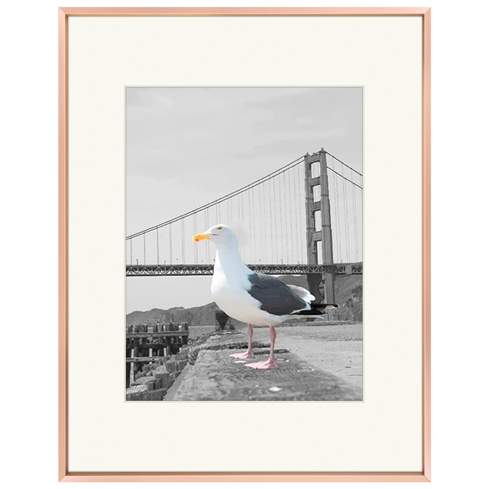 Frametory, 16x20 Metal Picture Frame with Mat for 11x14 Picture & Real Glass, Aluminum Photo Frame Collection (Rose Gold, 1 Pack)