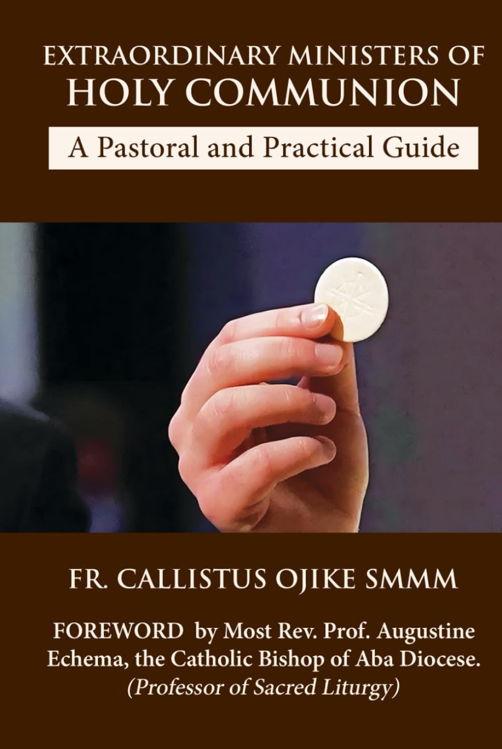 Extraordinary Ministers of Holy Communion - A Pastoral and Practical Guide: Designed Healthcare Facilities and Parish Ministry