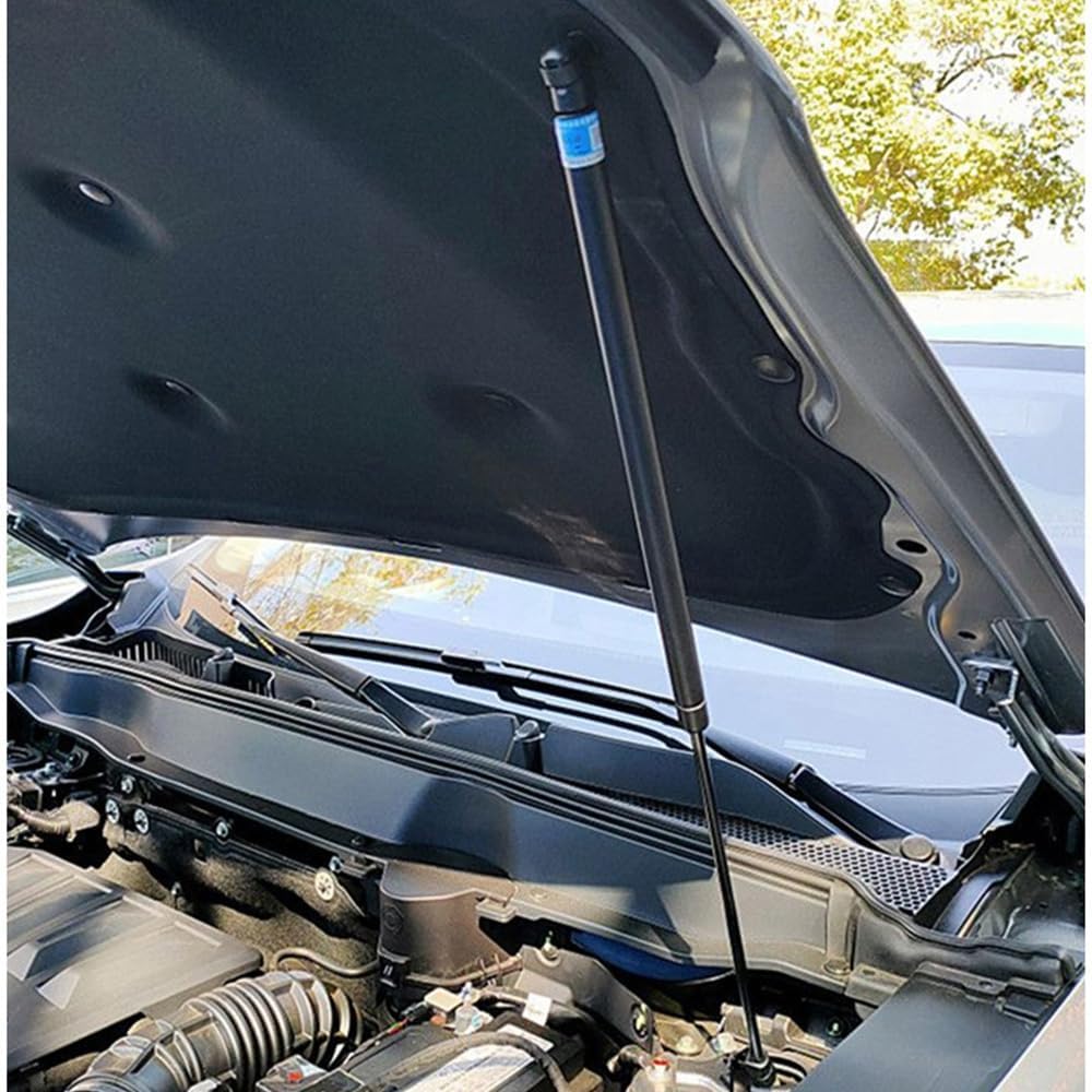 Car Front Hood Cover Spring Gas Lift Support Strut Bars Hydraulic Rod Compatible With Haval H6 2021-2025 Car Styling(Carbon green)