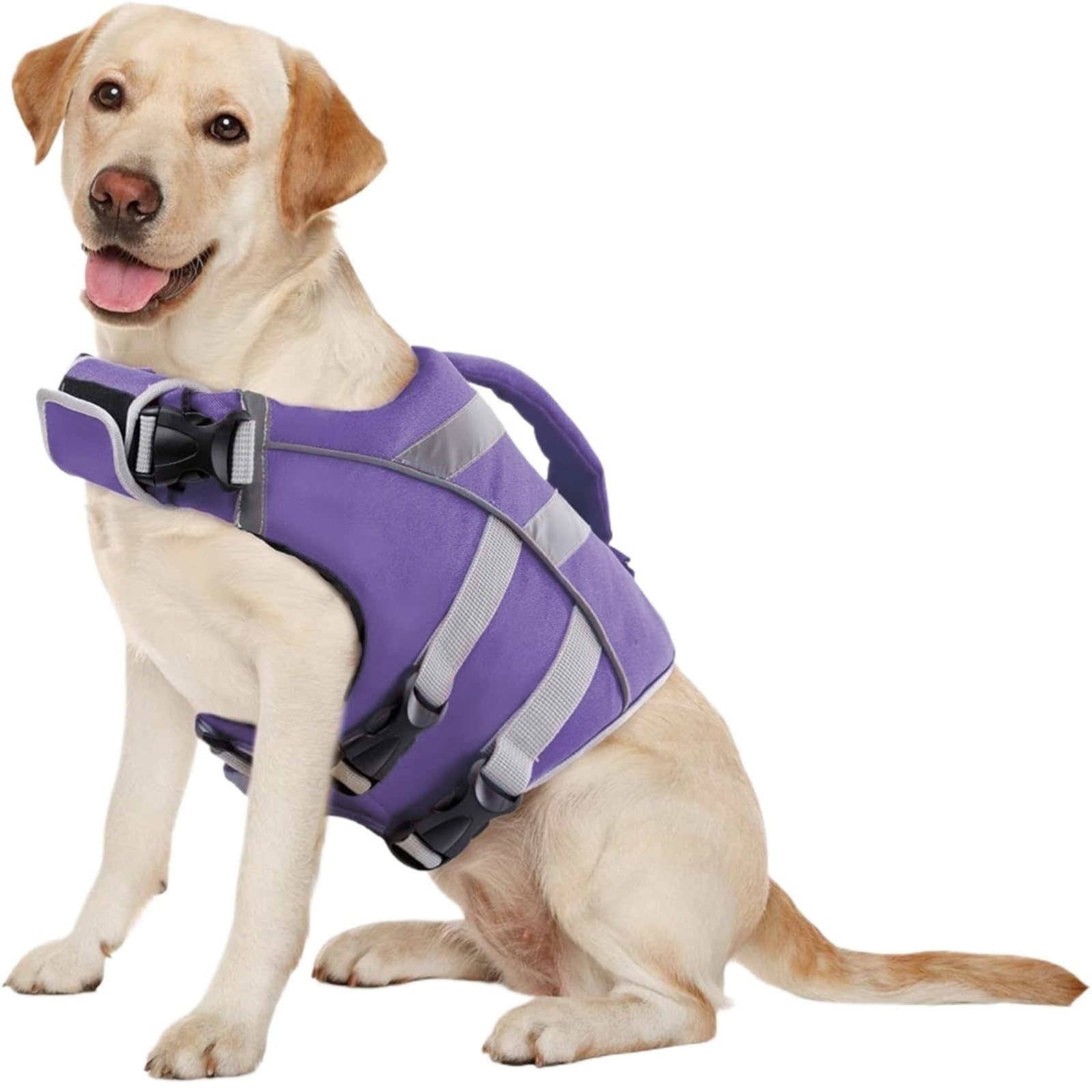 Gilet de sauvetage pour chien réfléchissant violet étanche taille XXL