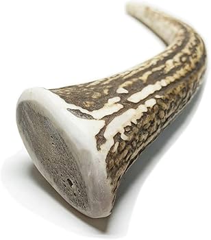 Amazon | 鹿角さん 鹿の角 犬 用 おもちゃ 大型犬用 けんか角 1本