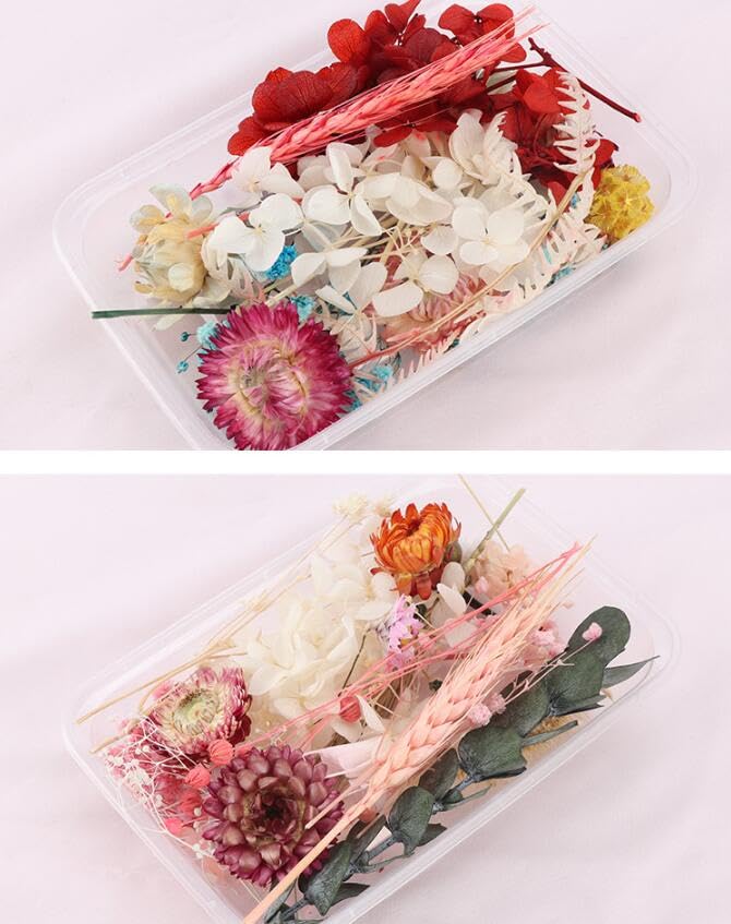 2 cajas de flores secas reales variedad color aleatorio miniatura 6