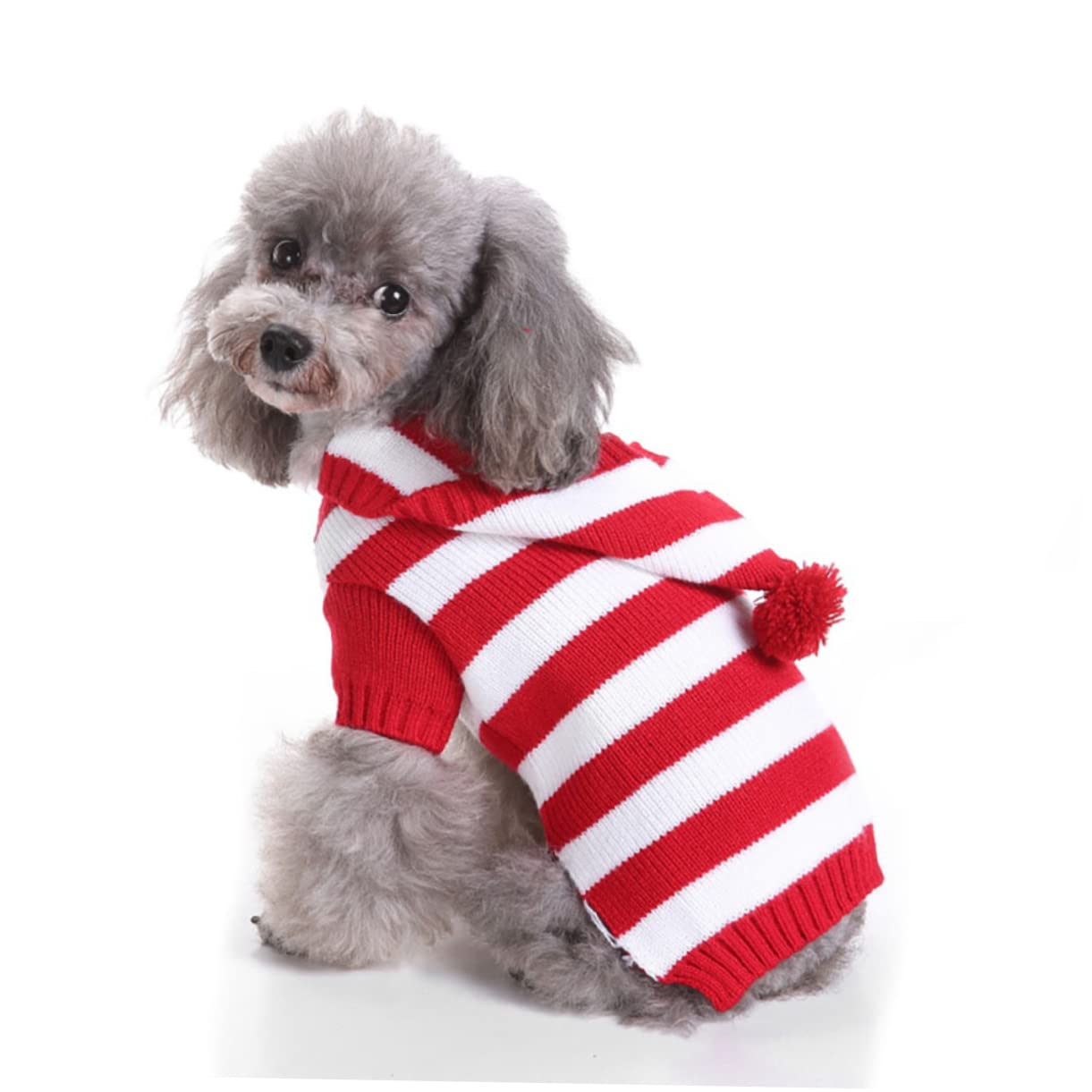 minkissy 3pièces Pull pour Chien Tricot avec Capuche Vêtement De Noël pour Animaux De Compagnie Costume Adorable pour Hiver Et Séances Photos