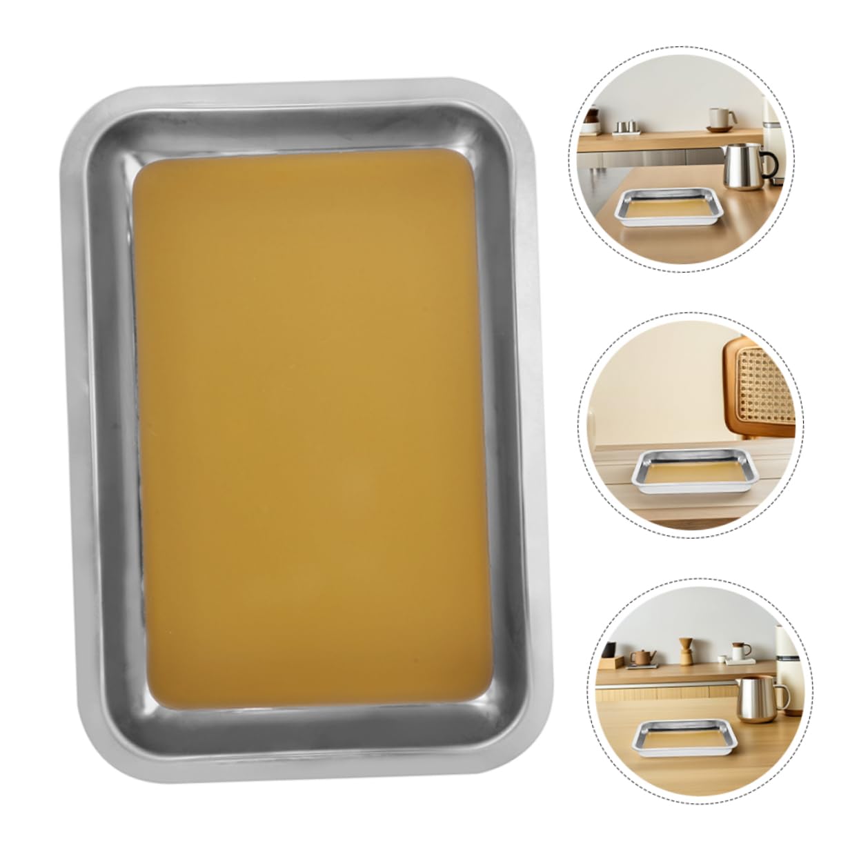 ABOOFAN 2 pezzi Vassoio da Dissezione Inox Strumento Professionale per Esperimenti Biologici per Scuole e Istituti Ricerca Facile da e Resistente Schizzi