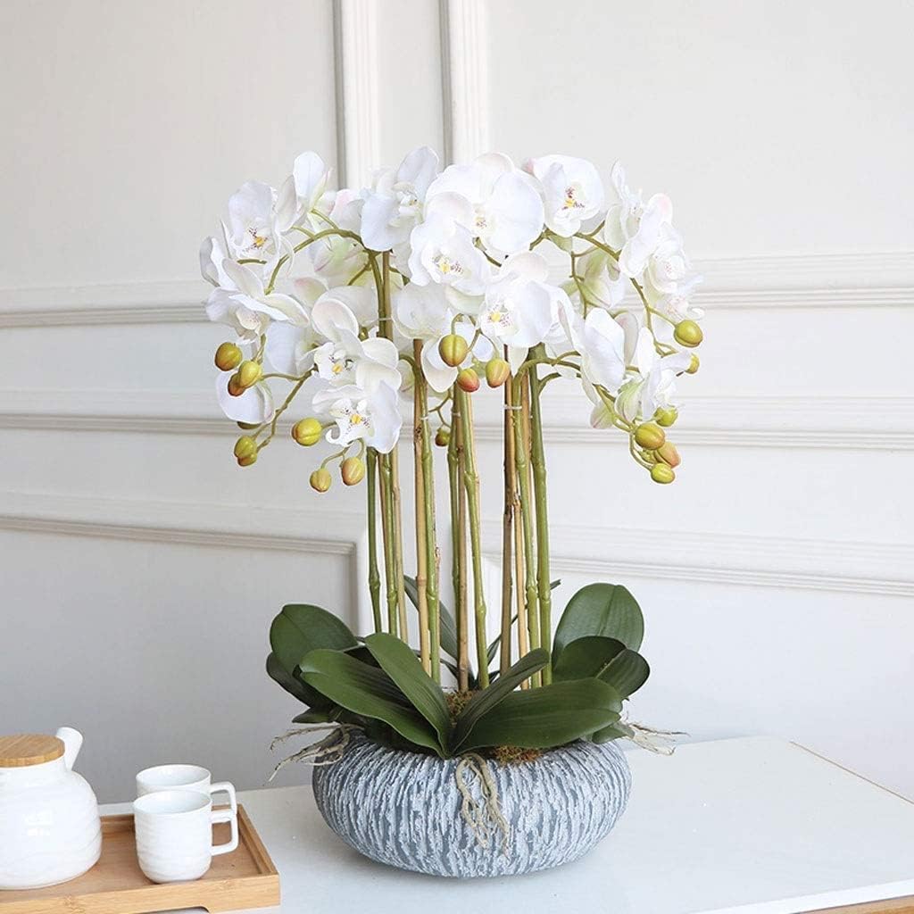 DFGHNBVC Artificial Orchid Faux Orchids With Porcelain Vase Set Artificial Flower 23.6In Artificial Phalaenopsis Flowers Home Decor Artificial Orchid Very Natural.White