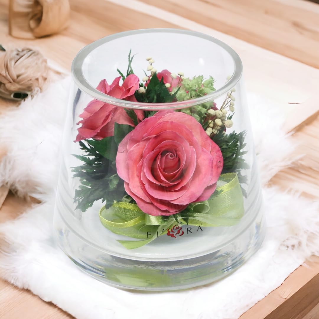 FIORA FLOWERLong Lasting Roses in Sealed Glass Vase | Fresh & Preserved Roses - Unique Gift for Any Occasion (Small Cylinder)