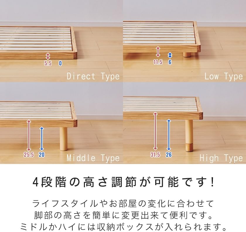 Best Selection株】アデニア ペリエリ まん丸で愛でたくなる株