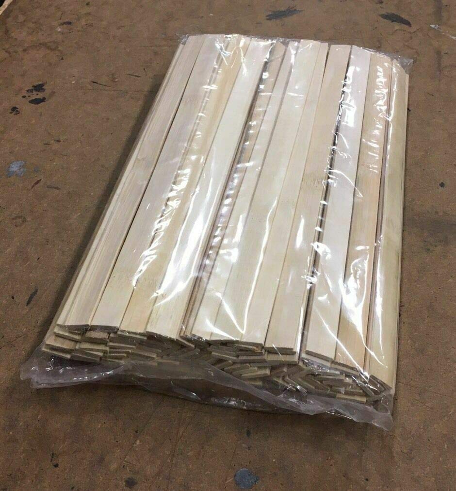 Astro 4586 12 "bambú pintura paleta
