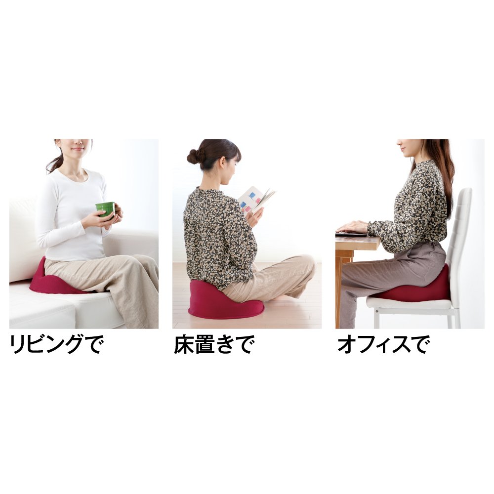 Amazon.co.jp: アルファックス 姿勢サポートクッション 座布団 椅子