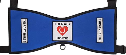 Chaleco terapéutico para caballos #1  Deluxe (talla 3 (31 pulgadas + en Withers), verde azulado