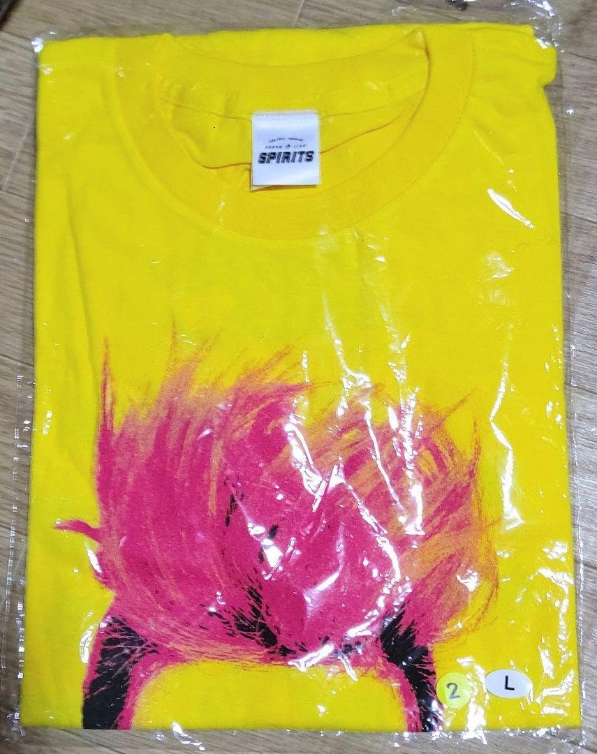 hide LUNA SEA うちわ ㊵XJAPAN hide Tシャ ツ、LUNA SEA、グレイ。 hide / LEMONED T