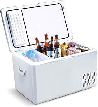 Amazon.co.jp: ECL 車載冷蔵庫 35L ポータブル冷凍庫冷蔵庫 Amazon.co.jp: ECL 車載冷蔵庫 35L ポータブル冷凍庫冷蔵庫