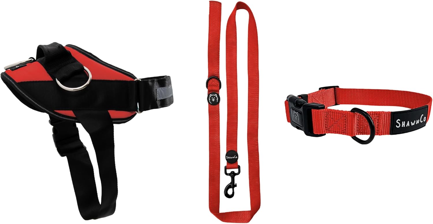 ShawnCo Essential Harness, Leash & Collar Set (Mustang Red, S)