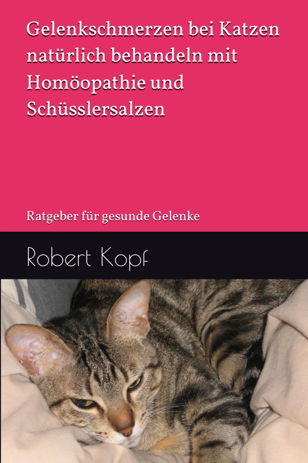 Gelenkschmerzen bei Katzen natürlich behandeln mit Homöopathie und Schüsslersalzen: Ratgeber für gesunde Gelenke