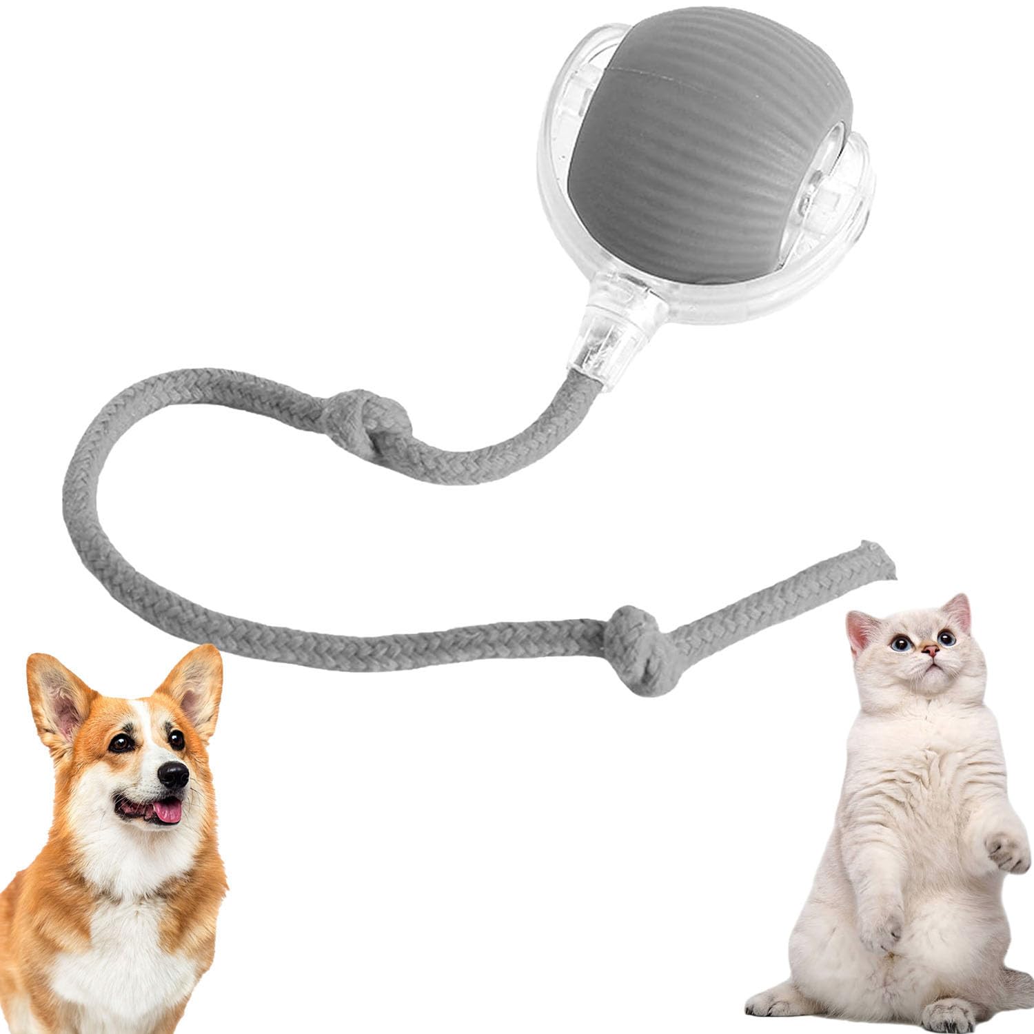 Chewie Viral Rolling Ball for Cats & Dogs, Interactive Smart Ball Toy, 360° Automatic Rolling, Large & Small Pets (Grey)