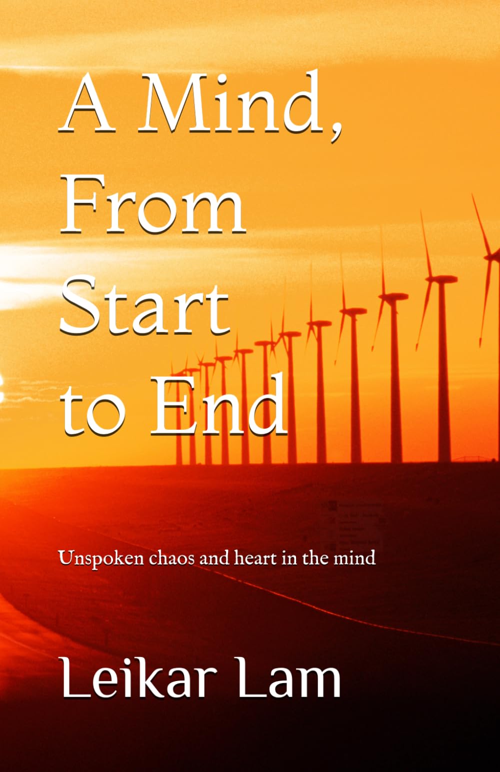A Mind, From Start to End: Unspoken chaos and heart in the mind