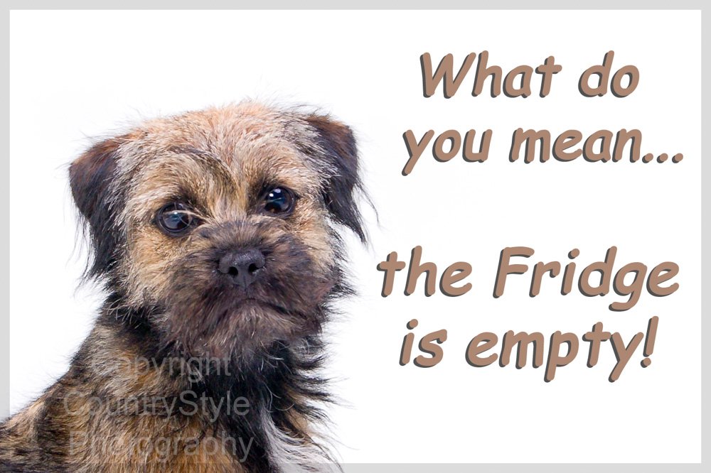 Countrystyle Gifts Border Terrier Dog Funny Fridge Magnet - Perfect Exclusive Birthday Or Christmas Gift