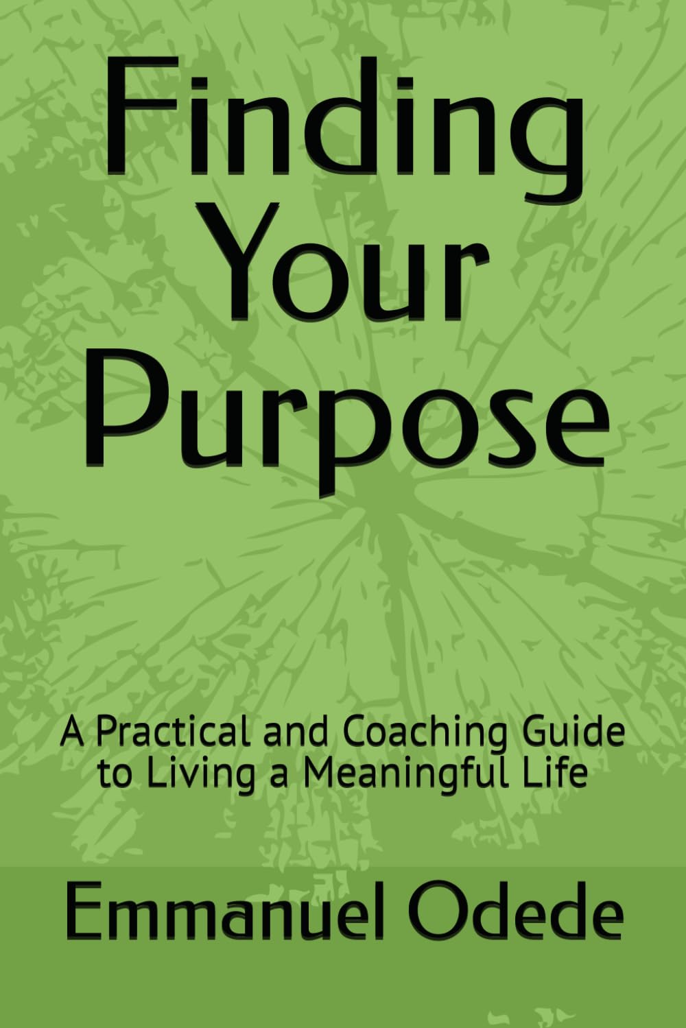 Finding Your Purpose: A Practical and Coaching Guide to Living a Meaningful Life