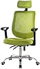 Mesh Office Chair Swivel Table and Chair High Back Computer Task Chair Adjustable Backrest Headrest Armrest and Seat Height WXIFEID Color: Silver Gray