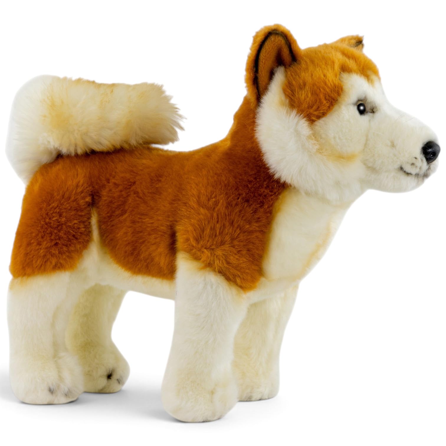 Carl Dick Akita pies ok. 30 cm, pluszowa zabawka, pluszowa zabawka, przytulanka 3636