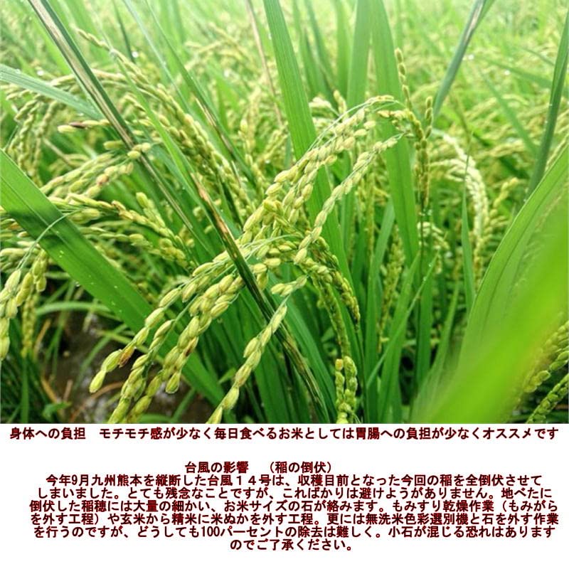 Amazon.co.jp: 【自然栽培】ササニシキ 無洗米 10kg 完全無農薬 有機  