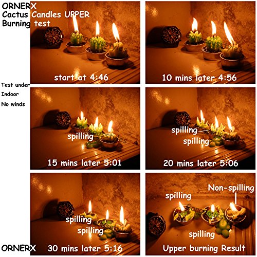 Ornerx Decorative Cactus Candles Non-Spilling Tea Light #TOP1