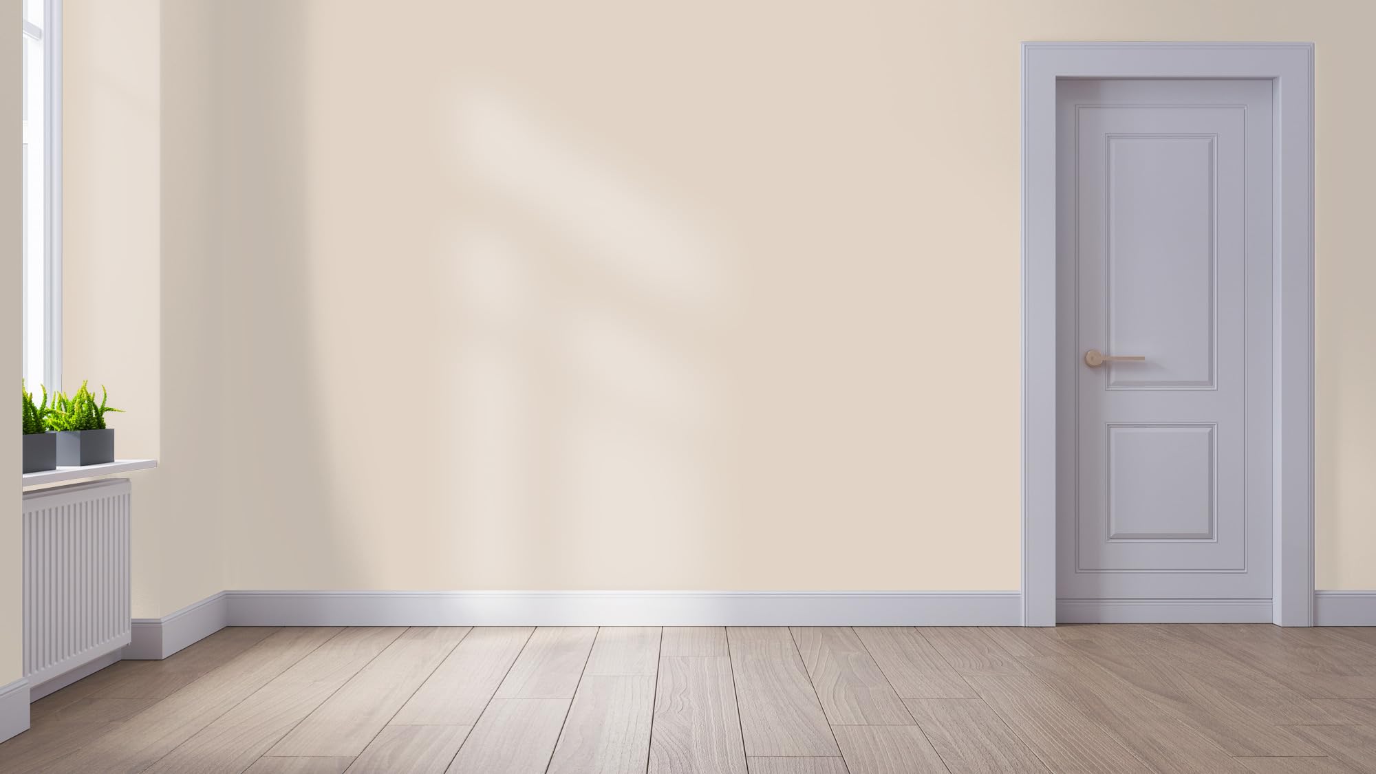 WALLCOVER hochwertige Wandfarbe für Innen | Beige Sand | 5L für 40m² | Hochdeckende Innenfarbe Matt (Klasse 1) | Profi Qualität aus Deutschland
