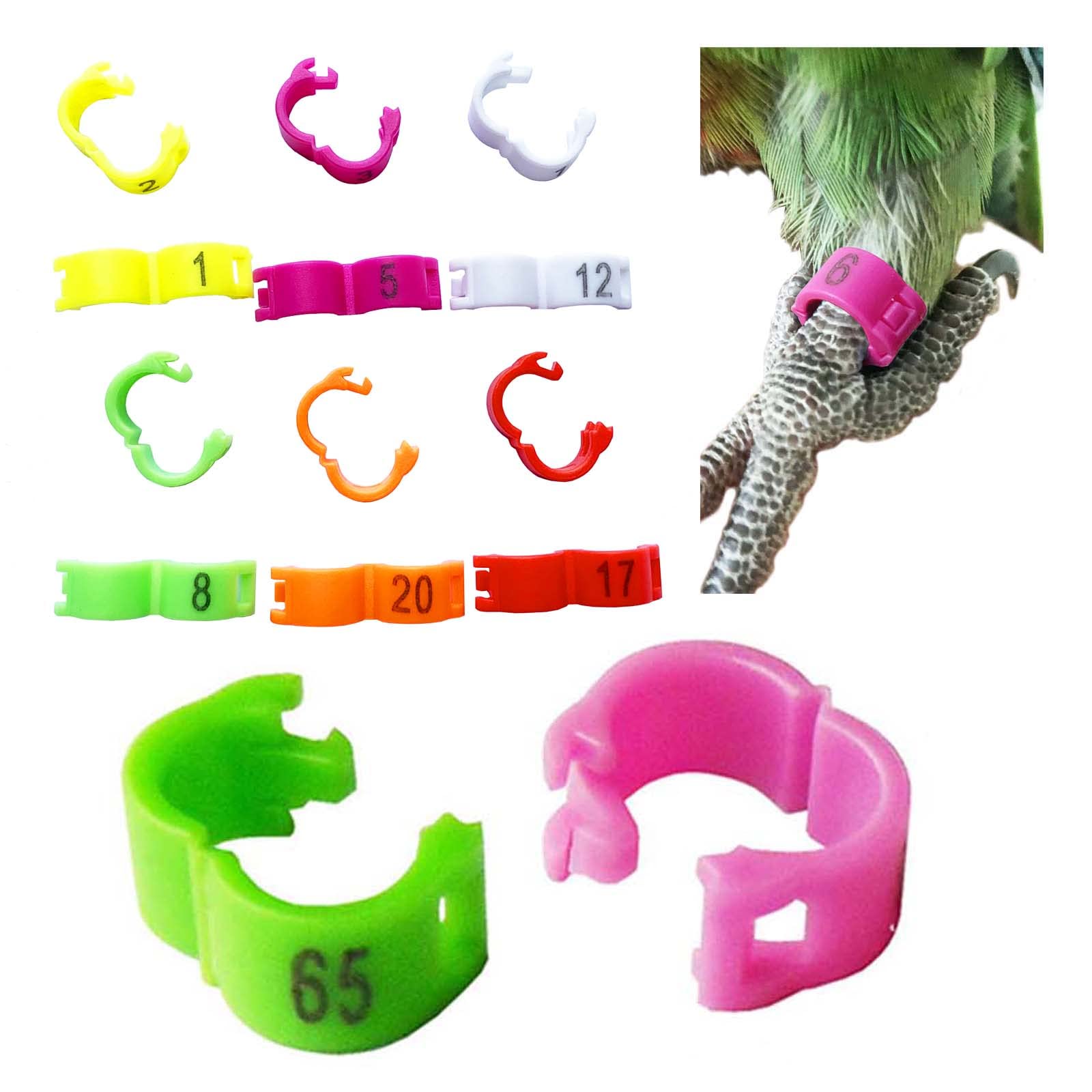 SRRPSPIGEON Bird Leg Ring 60pc 6 Color Clip Ring 3mm 4.5mm 4mm 5mm Parrot Canary Aviary Leg Band Foot Ring Open Clip Ring (3mm)