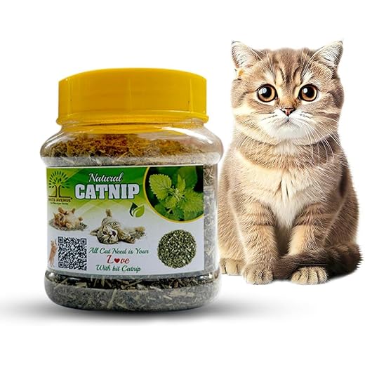Mats Avenue Pure Original Dried Catnip Himalayan Variety Attractive Mint Fragrance Catnip for Cats Kittens and Persian Cats Jumbo Pack of 200 Ml (Pack of 1)
