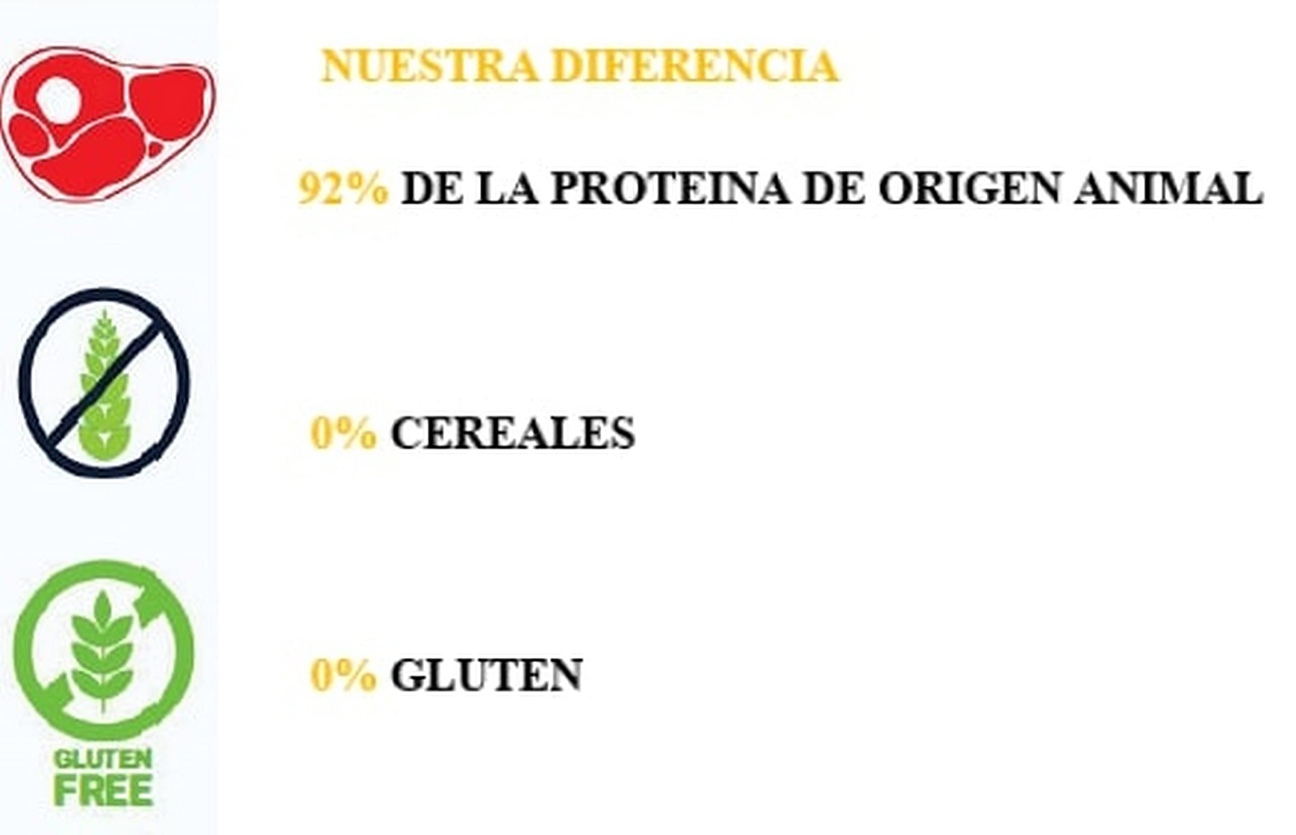 Baffin Taste of Caribou Mountain Pienso para Perros, de Cerdo, 12 kg
