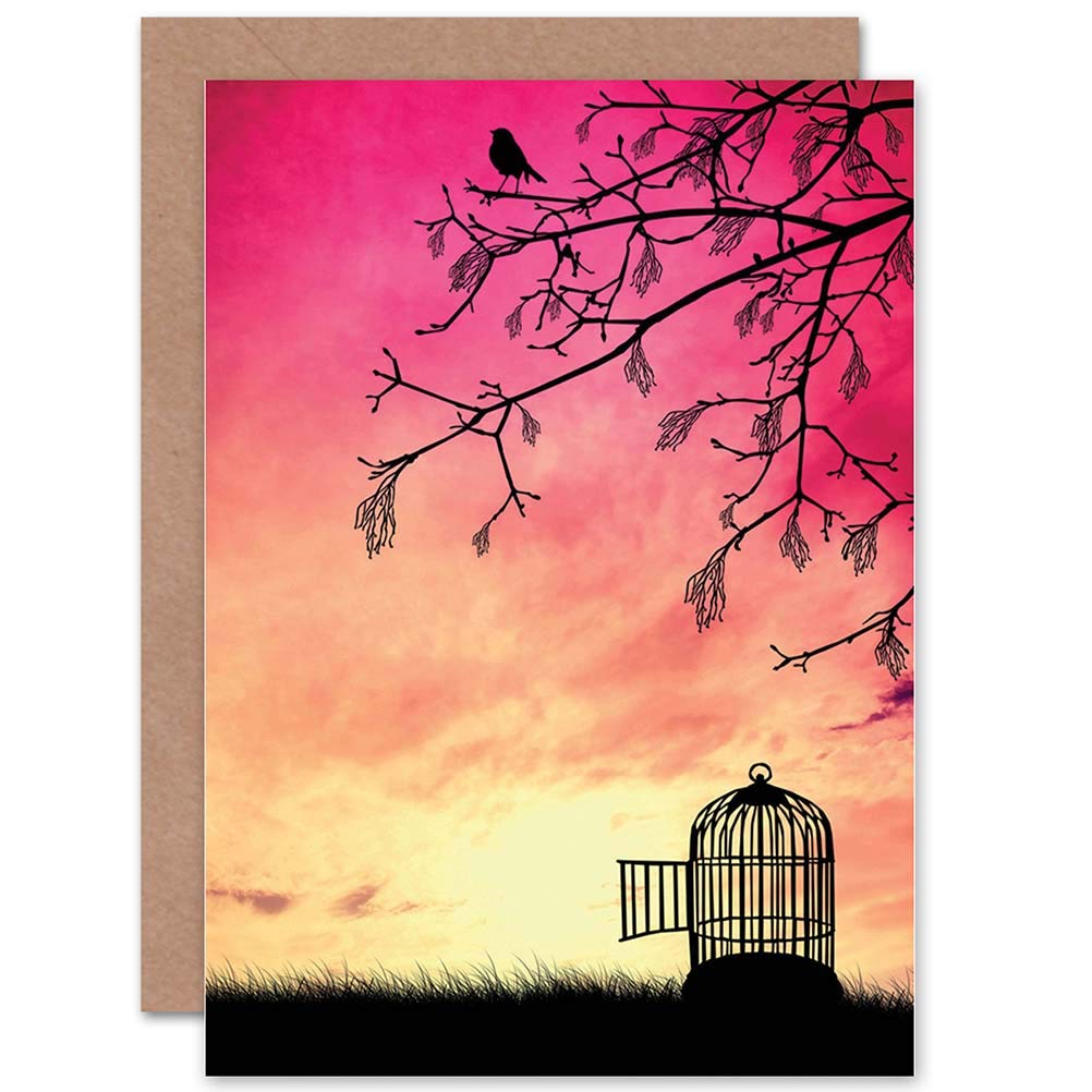 Wee Blue Coo Bird Cage Pink Sunset Freedom Silhouette Birthday Art Sealed Greeting Card Plus Envelope Blank inside